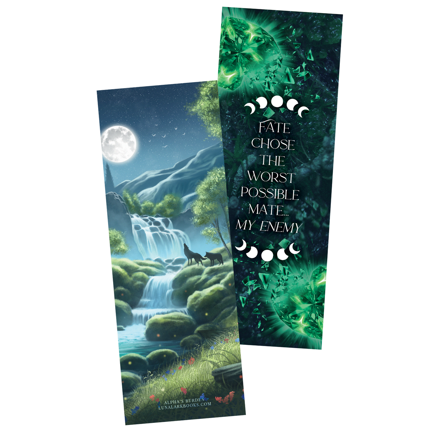 Alpha's Burden Fate Chose the Worst Mate Bookmark