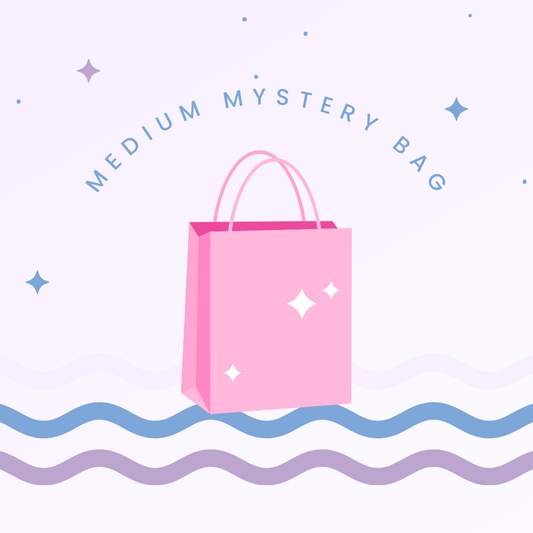 Medium Mystery Bag