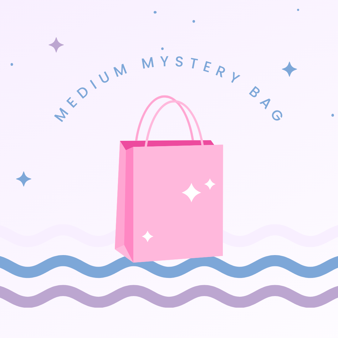 Medium Mystery Bag